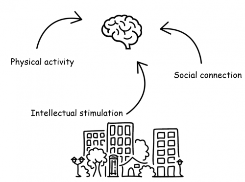 Physical activity, Cognitive stimulation, Social connection